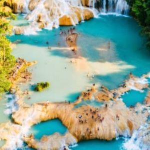 Meet your Posher, Leonardo